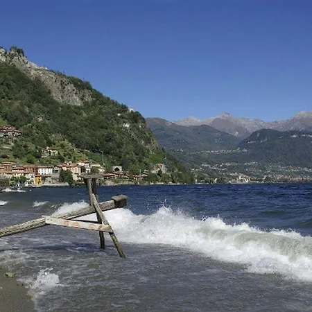 Magnolia Vista Musso
